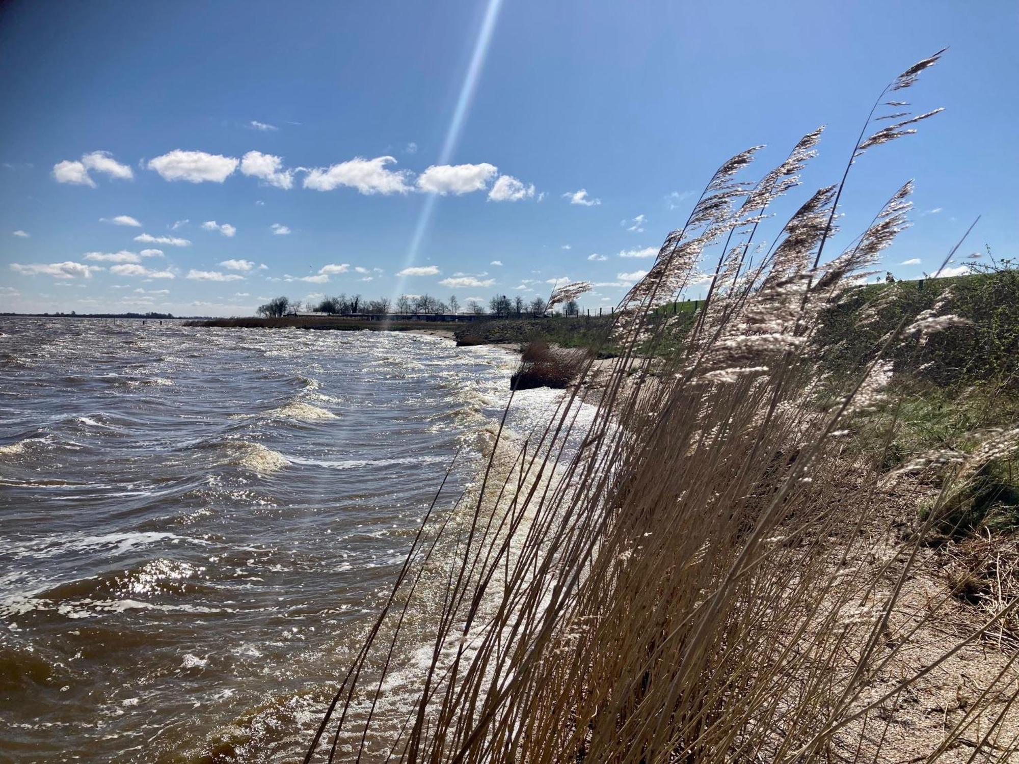 Haus Gaby Direkt Am Lauwersmeer Anjum ภายนอก รูปภาพ